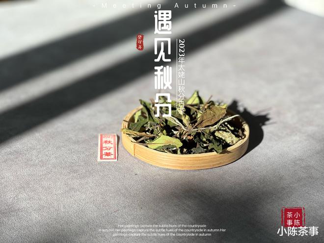 看茶叶和茶米乐m6官网汤的颜色就能看出白茶的品质？聊聊老茶客才懂的技巧(图4)