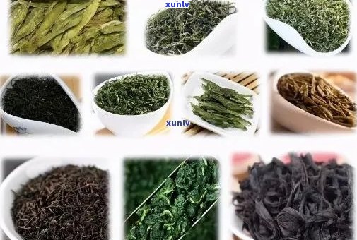 茗茶的种类有哪些？了解各类茗茶及其图片(图1)