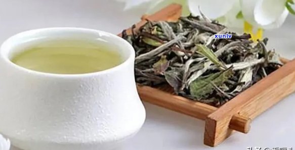 精选茗茶是什么品种-精选茗茶是什么品种的茶叶(图8)