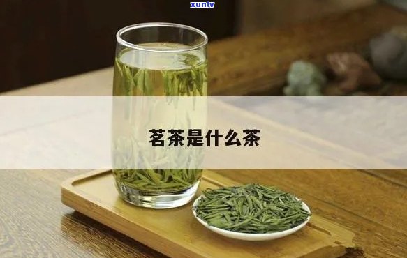 精选茗茶是什么品种-精选茗茶是什么品种的茶叶(图10)