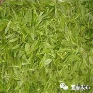 到宜春吃茶去！家乡茗茶你知多少？(图12)