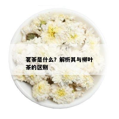 茗茶是什么？解析其与柳叶茶的区别(图1)