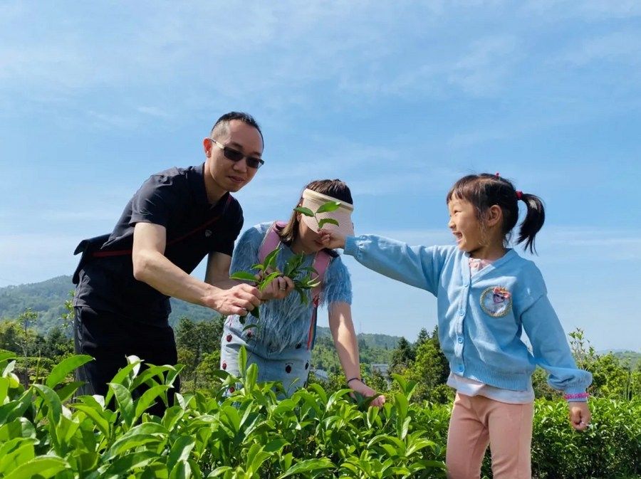 国际茶日丨茶叶、茶饮、茶文化……一杯茶的N种玩法(图7)